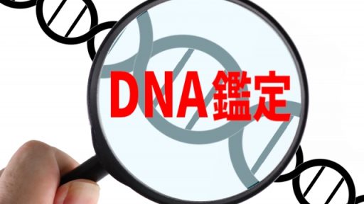 DNA鑑定はバレずにこっそりできるのか？